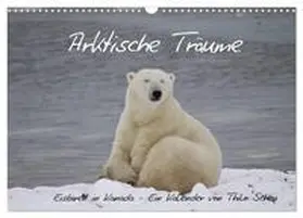 Scheu / CALVENDO |  Arktische Träume - Eisbären in Kanada (Wandkalender 2026 DIN A3 quer), CALVENDO Monatskalender | Sonstiges |  Sack Fachmedien