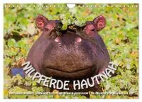 Gerlach GDT / CALVENDO |  Emotionale Momente: Nilpferde hautnah (Wandkalender 2026 DIN A4 quer), CALVENDO Monatskalender | Sonstiges |  Sack Fachmedien