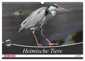 SchnelleWelten / CALVENDO |  Heimische Tiere (Wandkalender 2026 DIN A3 quer), CALVENDO Monatskalender | Sonstiges |  Sack Fachmedien