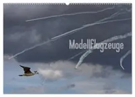 CALVENDO / van Veenendaal Fotografie vv-design.com |  Modellflugzeuge Nr. 1 / 2026 (Wandkalender 2026 DIN A2 quer), CALVENDO Monatskalender | Sonstiges |  Sack Fachmedien