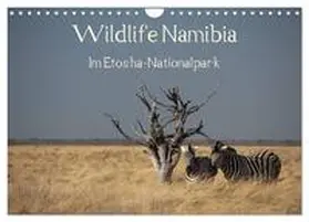 Müller / CALVENDO |  Wildlife Namibia (Wandkalender 2026 DIN A4 quer), CALVENDO Monatskalender | Sonstiges |  Sack Fachmedien
