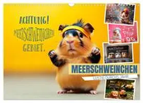 CALVENDO / Viola |  Meerschweinchen LUSTIG DURCHS JAHR (Wandkalender 2026 DIN A3 quer), CALVENDO Monatskalender | Sonstiges |  Sack Fachmedien