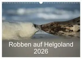 Leimer / CALVENDO |  Robben auf Helgoland 2026 (Wandkalender 2026 DIN A3 quer), CALVENDO Monatskalender | Sonstiges |  Sack Fachmedien
