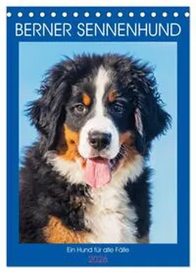 Starick / CALVENDO |  Berner Sennenhund - Ein Hund für alle Fälle (Tischkalender 2026 DIN A5 hoch), CALVENDO Monatskalender | Sonstiges |  Sack Fachmedien