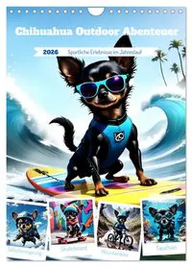 CALVENDO / Stachanczyk |  Chihuahua Outdoor Abenteuer (Wandkalender 2026 DIN A4 hoch), CALVENDO Monatskalender | Sonstiges |  Sack Fachmedien