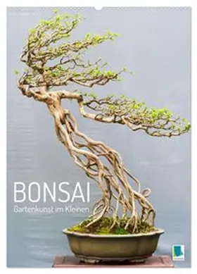 CALVENDO |  Bonsai: Gartenkunst im Kleinen (Wandkalender 2026 DIN A2 hoch), CALVENDO Monatskalender | Sonstiges |  Sack Fachmedien