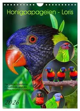 CALVENDO |  Honigpapageien - Loris (Wandkalender 2026 DIN A4 hoch), CALVENDO Monatskalender | Sonstiges |  Sack Fachmedien