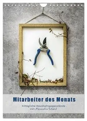 Schmid / CALVENDO |  Mitarbeiter des Monats (Wandkalender 2026 DIN A4 hoch), CALVENDO Monatskalender | Sonstiges |  Sack Fachmedien