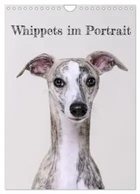 CALVENDO / Hofmann |  Whippets im Portrait (Wandkalender 2026 DIN A4 hoch), CALVENDO Monatskalender | Sonstiges |  Sack Fachmedien
