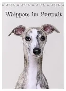 Hofmann / CALVENDO |  Whippets im Portrait (Tischkalender 2026 DIN A5 hoch), CALVENDO Monatskalender | Sonstiges |  Sack Fachmedien