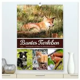 Löwer / CALVENDO |  Buntes Tierleben (hochwertiger Premium Wandkalender 2026 DIN A2 hoch), Kunstdruck in Hochglanz | Sonstiges |  Sack Fachmedien
