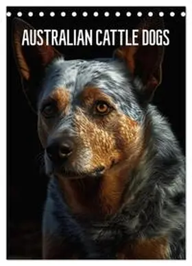Alberts / CALVENDO |  Australian Cattle Dogs (Tischkalender 2026 DIN A5 hoch), CALVENDO Monatskalender | Sonstiges |  Sack Fachmedien