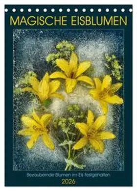 Richter / CALVENDO |  Magische Eisblumen (Tischkalender 2026 DIN A5 hoch), CALVENDO Monatskalender | Sonstiges |  Sack Fachmedien