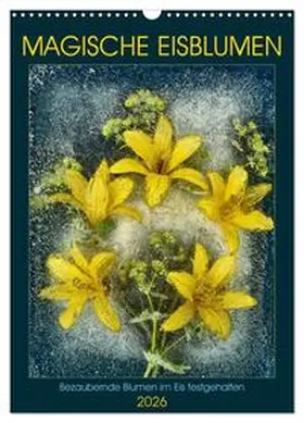 Richter / CALVENDO |  Magische Eisblumen (Wandkalender 2026 DIN A3 hoch), CALVENDO Monatskalender | Sonstiges |  Sack Fachmedien