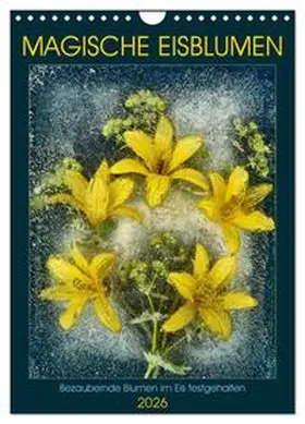 CALVENDO / Richter |  Magische Eisblumen (Wandkalender 2026 DIN A4 hoch), CALVENDO Monatskalender | Sonstiges |  Sack Fachmedien