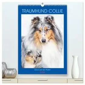 Starick / CALVENDO |  Traumhund Collie - Glück auf vier Pfoten (hochwertiger Premium Wandkalender 2026 DIN A2 hoch), Kunstdruck in Hochglanz | Sonstiges |  Sack Fachmedien
