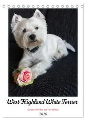 Rohde / CALVENDO |  West Highland White Terrier - Herzensbrecher auf vier Pfoten (Tischkalender 2026 DIN A5 hoch), CALVENDO Monatskalender | Sonstiges |  Sack Fachmedien
