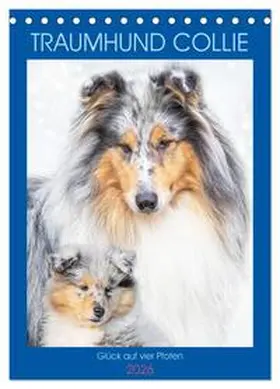 Starick / CALVENDO |  Traumhund Collie - Glück auf vier Pfoten (Tischkalender 2026 DIN A5 hoch), CALVENDO Monatskalender | Sonstiges |  Sack Fachmedien