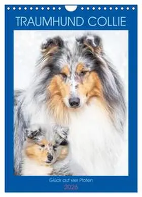 Starick / CALVENDO |  Traumhund Collie - Glück auf vier Pfoten (Wandkalender 2026 DIN A4 hoch), CALVENDO Monatskalender | Sonstiges |  Sack Fachmedien
