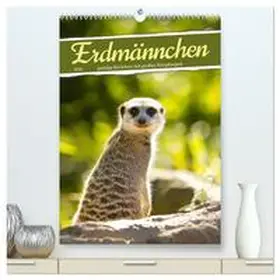 Löwer / CALVENDO |  Erdmännchen, putzige Kerlchen mit großen Knopfaugen (hochwertiger Premium Wandkalender 2026 DIN A2 hoch), Kunstdruck in Hochglanz | Sonstiges |  Sack Fachmedien