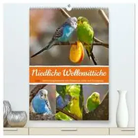 Löwer / CALVENDO |  Niedliche Wellensittiche (hochwertiger Premium Wandkalender 2026 DIN A2 hoch), Kunstdruck in Hochglanz | Sonstiges |  Sack Fachmedien