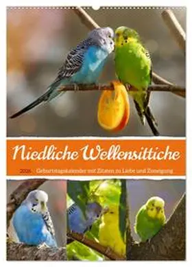Löwer / CALVENDO |  Niedliche Wellensittiche (Wandkalender 2026 DIN A2 hoch), CALVENDO Monatskalender | Sonstiges |  Sack Fachmedien
