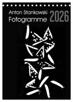 Stankowski / CALVENDO |  Anton Stankowski Fotogramme (Tischkalender 2026 DIN A5 hoch), CALVENDO Monatskalender | Sonstiges |  Sack Fachmedien