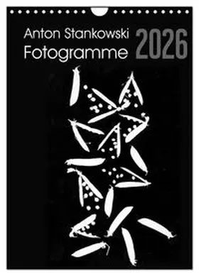Stankowski / CALVENDO |  Anton Stankowski Fotogramme (Wandkalender 2026 DIN A4 hoch), CALVENDO Monatskalender | Sonstiges |  Sack Fachmedien