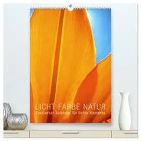 Layout Babette Reek / CALVENDO |  Licht Farbe Natur (hochwertiger Premium Wandkalender 2026 DIN A2 hoch), Kunstdruck in Hochglanz | Sonstiges |  Sack Fachmedien