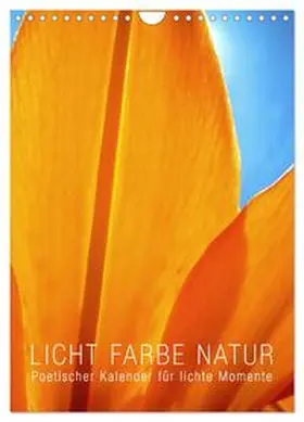 Layout Babette Reek / CALVENDO |  Licht Farbe Natur (Wandkalender 2026 DIN A4 hoch), CALVENDO Monatskalender | Sonstiges |  Sack Fachmedien