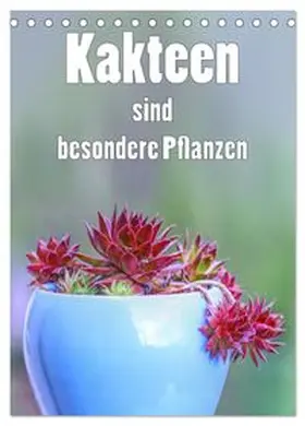 CALVENDO / Brunner-Klaus |  Kakteen sind besondere Pflanzen (Tischkalender 2026 DIN A5 hoch), CALVENDO Monatskalender | Sonstiges |  Sack Fachmedien