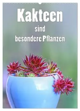 CALVENDO / Brunner-Klaus |  Kakteen sind besondere Pflanzen (Wandkalender 2026 DIN A2 hoch), CALVENDO Monatskalender | Sonstiges |  Sack Fachmedien