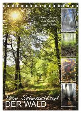 Löwer / CALVENDO |  Mein Sehnsuchtsort, der Wald (Tischkalender 2026 DIN A5 hoch), CALVENDO Monatskalender | Sonstiges |  Sack Fachmedien