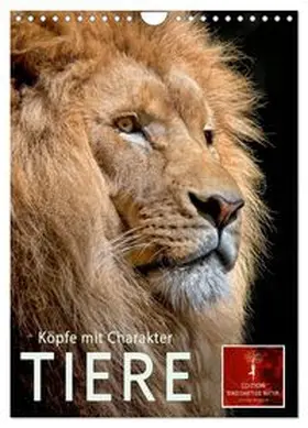 CALVENDO / Roder |  Tiere - Köpfe mit Charakter (Wandkalender 2026 DIN A4 hoch), CALVENDO Monatskalender | Sonstiges |  Sack Fachmedien
