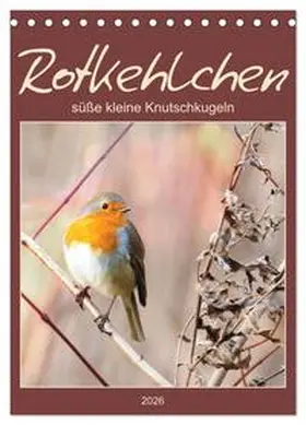 Löwer / CALVENDO |  Rotkehlchen, süße kleine Knutschkugeln (Tischkalender 2026 DIN A5 hoch), CALVENDO Monatskalender | Sonstiges |  Sack Fachmedien