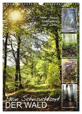 Löwer / CALVENDO |  Mein Sehnsuchtsort, der Wald (Wandkalender 2026 DIN A3 hoch), CALVENDO Monatskalender | Sonstiges |  Sack Fachmedien