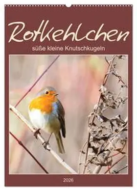 Löwer / CALVENDO |  Rotkehlchen, süße kleine Knutschkugeln (Wandkalender 2026 DIN A2 hoch), CALVENDO Monatskalender | Sonstiges |  Sack Fachmedien