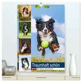 Starick / CALVENDO |  Traumhaft schön - Der Berner Sennenhund (hochwertiger Premium Wandkalender 2026 DIN A2 hoch), Kunstdruck in Hochglanz | Sonstiges |  Sack Fachmedien