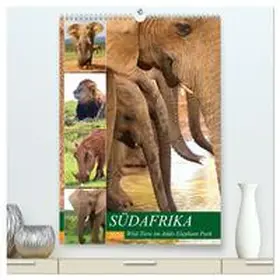 Fraatz / CALVENDO |  SÜDAFRIKA Wild-Tiere im Addo Elephant Park (hochwertiger Premium Wandkalender 2026 DIN A2 hoch), Kunstdruck in Hochglanz | Sonstiges |  Sack Fachmedien