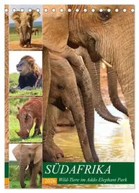 Fraatz / CALVENDO |  SÜDAFRIKA Wild-Tiere im Addo Elephant Park (Tischkalender 2026 DIN A5 hoch), CALVENDO Monatskalender | Sonstiges |  Sack Fachmedien