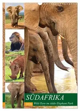 Fraatz / CALVENDO |  SÜDAFRIKA Wild-Tiere im Addo Elephant Park (Wandkalender 2026 DIN A3 hoch), CALVENDO Monatskalender | Sonstiges |  Sack Fachmedien