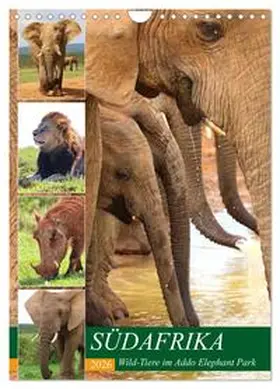 Fraatz / CALVENDO |  SÜDAFRIKA Wild-Tiere im Addo Elephant Park (Wandkalender 2026 DIN A4 hoch), CALVENDO Monatskalender | Sonstiges |  Sack Fachmedien
