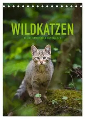 Krutz / CALVENDO |  Wildkatzen - Kleine Samtpfoten des Waldes (Tischkalender 2026 DIN A5 hoch), CALVENDO Monatskalender | Sonstiges |  Sack Fachmedien