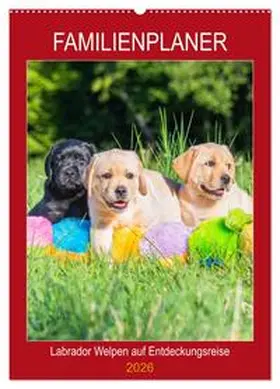 Starick / CALVENDO |  Familienplaner - Labrador Welpen entdecken die Welt (Wandkalender 2026 DIN A2 hoch), CALVENDO Monatskalender | Sonstiges |  Sack Fachmedien