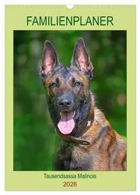 Starick / CALVENDO |  Familienplaner Tausendsassa Malinois (Wandkalender 2026 DIN A3 hoch), CALVENDO Monatskalender | Sonstiges |  Sack Fachmedien