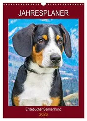 Starick / CALVENDO |  Jahresplaner Entlebucher Sennenhund (Wandkalender 2026 DIN A3 hoch), CALVENDO Monatskalender | Sonstiges |  Sack Fachmedien