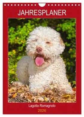 Starick / CALVENDO |  Jahresplaner Lagotto Romagnolo (Wandkalender 2026 DIN A4 hoch), CALVENDO Monatskalender | Sonstiges |  Sack Fachmedien