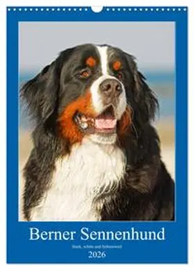 Starick / CALVENDO |  Berner Sennenhund - stark , schön und liebenswert (Wandkalender 2026 DIN A3 hoch), CALVENDO Monatskalender | Sonstiges |  Sack Fachmedien
