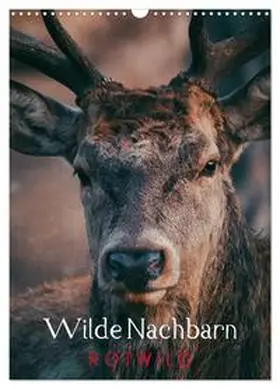 Payne / CALVENDO |  Wilde Nachbarn: Rotwild (Wandkalender 2026 DIN A3 hoch), CALVENDO Monatskalender | Sonstiges |  Sack Fachmedien