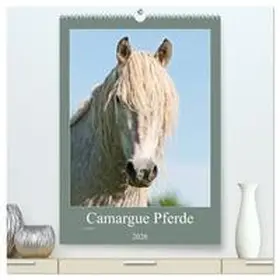 Bölts / CALVENDO |  Camargue Pferde - weiße Mähnen (hochwertiger Premium Wandkalender 2026 DIN A2 hoch), Kunstdruck in Hochglanz | Sonstiges |  Sack Fachmedien